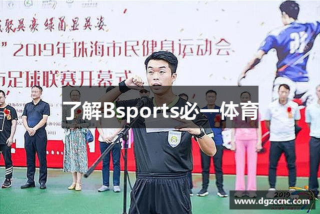 了解Bsports必一体育